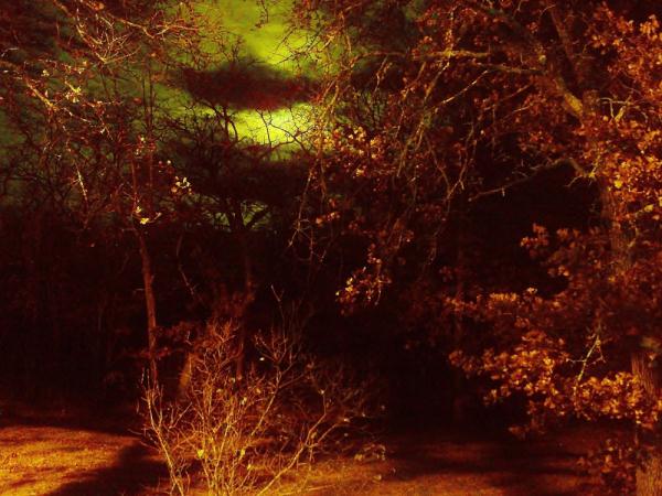 Click To View Larger Image