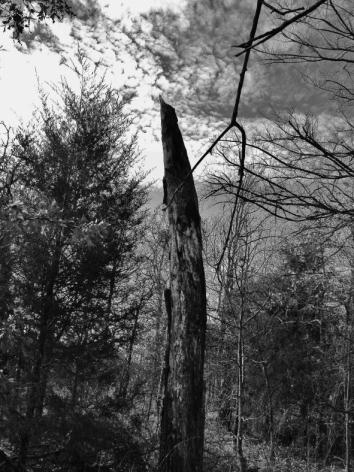 Click To View Larger Image