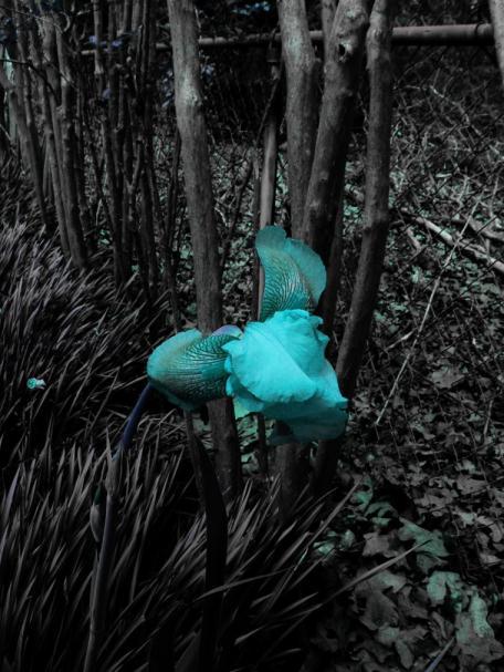 Click To View Larger Image