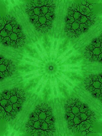 Click To View Larger Image